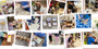 Home School Workshop Term 3 - Utility rack