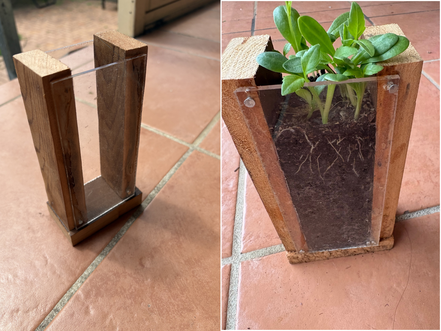 Home School Workshop Term 3 - Visible Planter - Friday 18th September